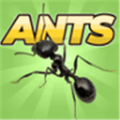 口袋蚂蚁模拟器v0.0890