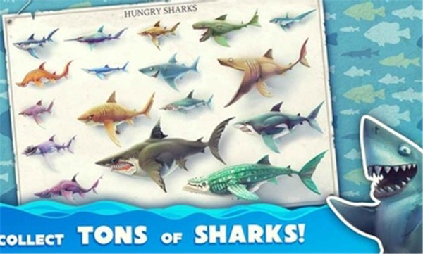 饥饿鲨世界国际服2024