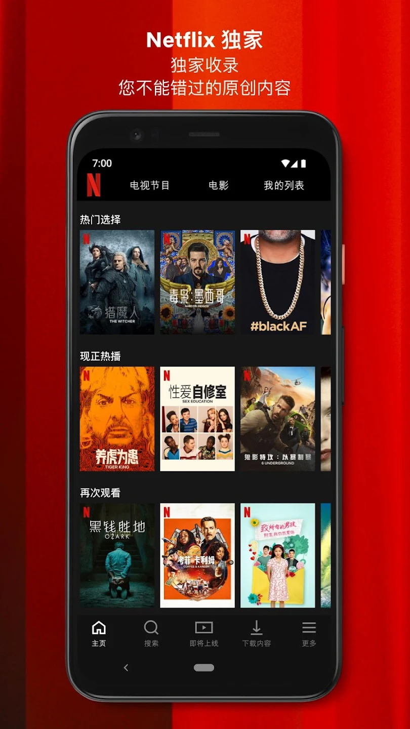 奈飞中文版最新版(Netflix)