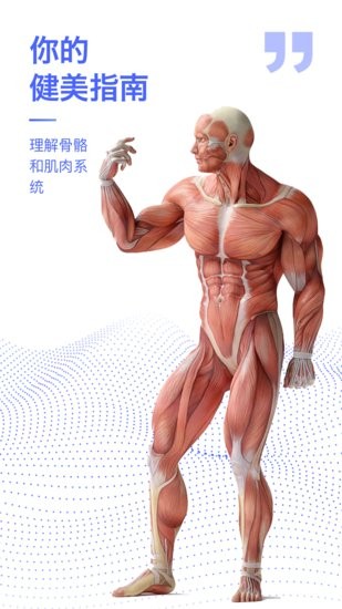 2024人体解剖学图谱