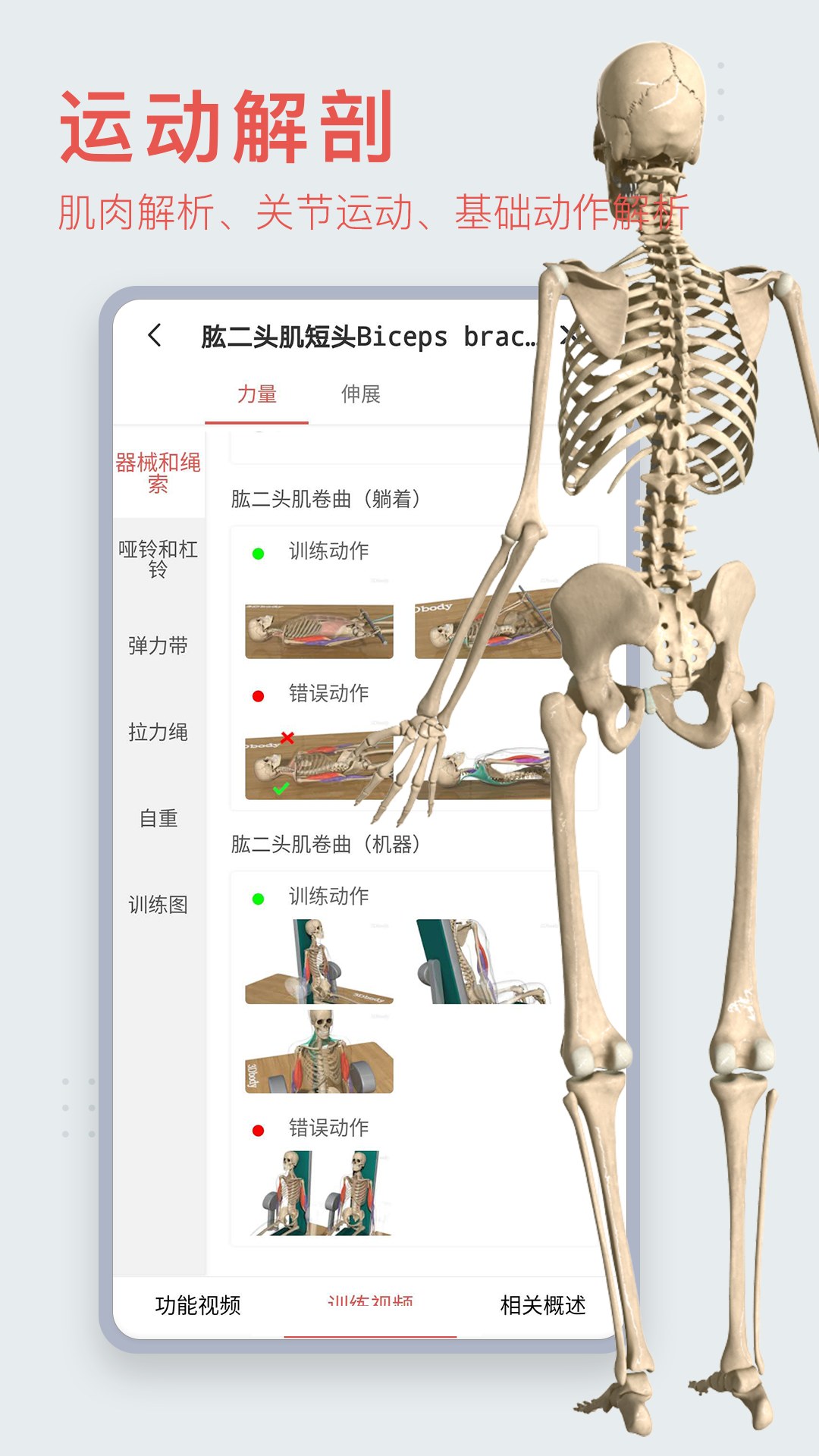 3dbody三维免费人体解剖软件