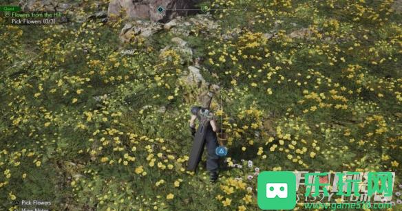 《最终幻想7重生》山丘上绽放的花位置介绍游侠网6